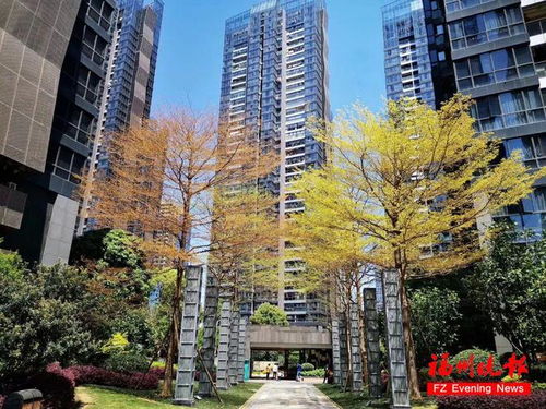 有你小區(qū)嗎 福州31家物業(yè)企業(yè)獲評(píng) 五星級(jí)物業(yè)